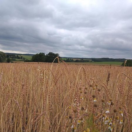 Gite Les 7 Frenes Vaux-sur-Sure Exteriör bild