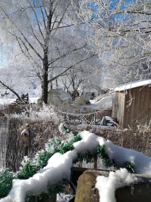 Gite Les 7 Frenes Vaux-sur-Sure Exteriör bild