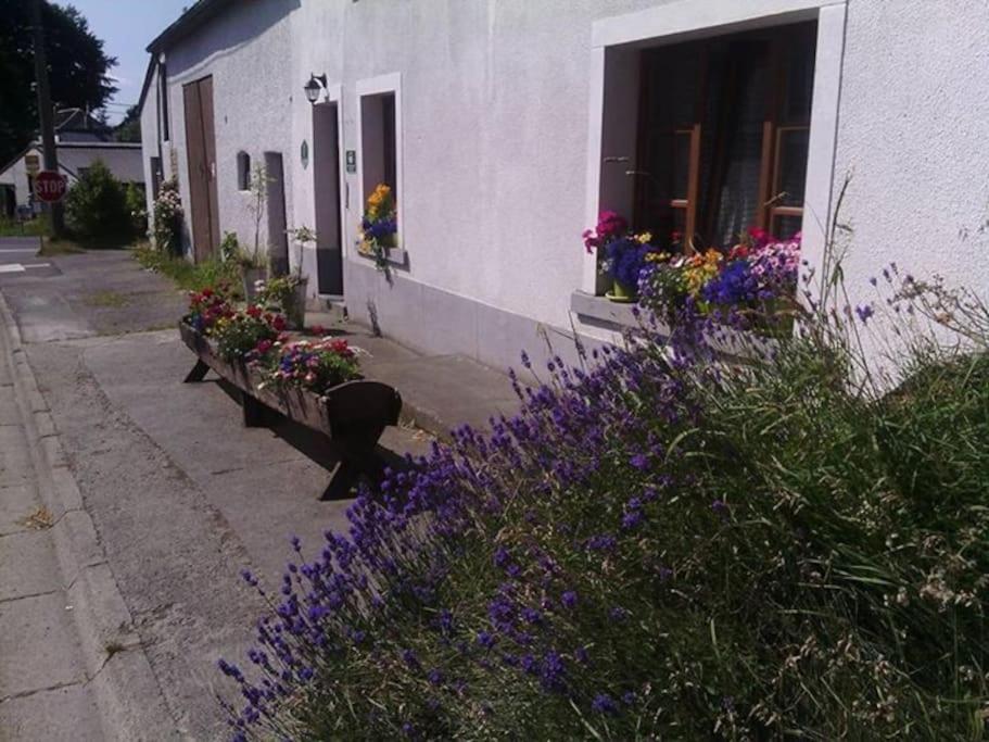 Gite Les 7 Frenes Vaux-sur-Sure Exteriör bild